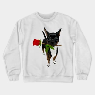 Chihuahua holding a rose with puppy dog eyes Valentine Day Crewneck Sweatshirt